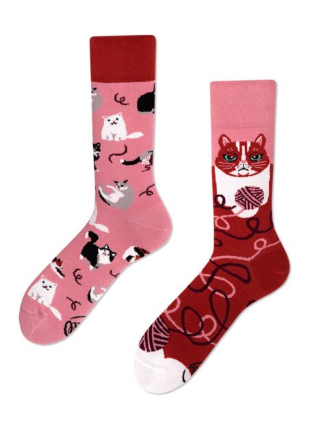 Verspielte Katzen - lustige Socken