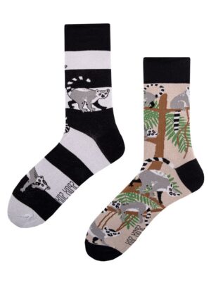 Bunte Socken - Lemuren